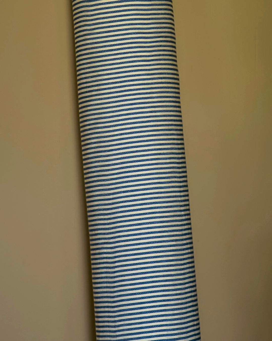 The Fine Stripe in Delphinium
