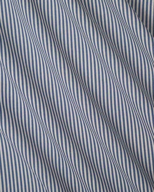 The Fine Stripe in Delphinium