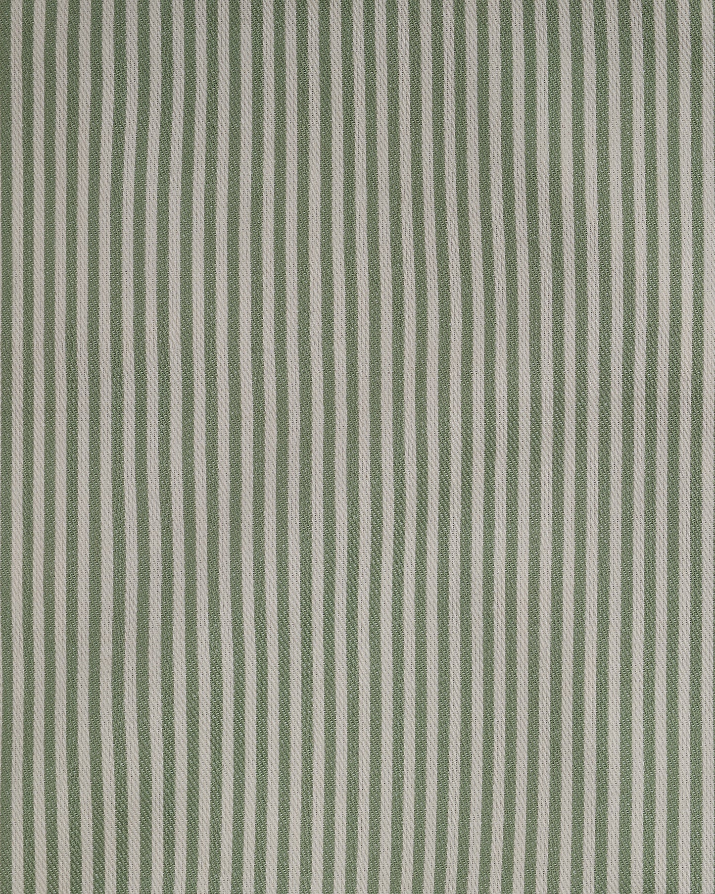 The Fine Stripe in Sage